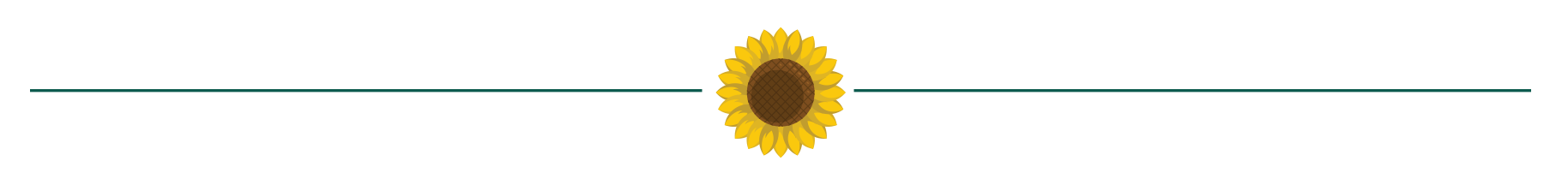 sunflower-divider.png